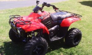 2009 POLARIS TRAIL BLAZER BOSS 330 Service Repair Manual - SERVICE ...